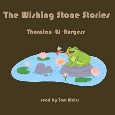 The Wishing Stone Stories