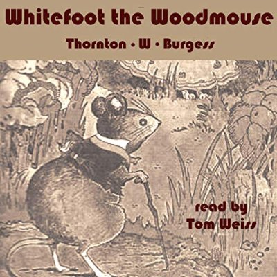 Whitefoot the Wood Mouse