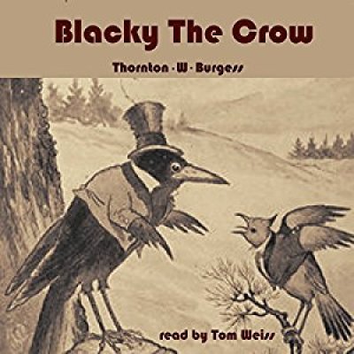Blacky the Crow