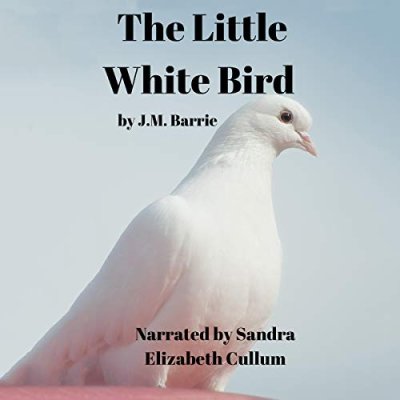 The Little White Bird