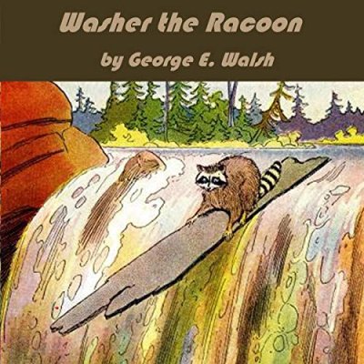Washer the Raccoon