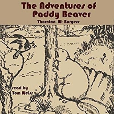 The Adventures of Paddy Beaver