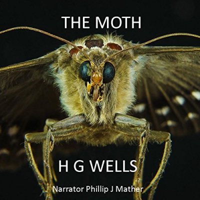 The Moth