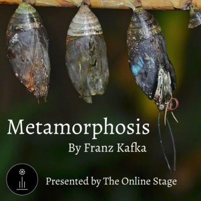 Metamorphosis