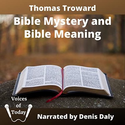 Bible Mystery and Bible Meaning