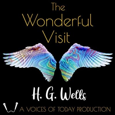 The Wonderful Visit