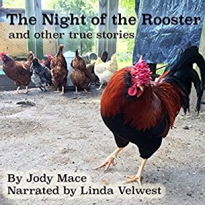 The Night of the Rooster and Other True Stories