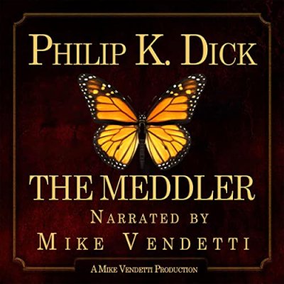 The Meddler