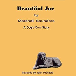 Beautiful Joe