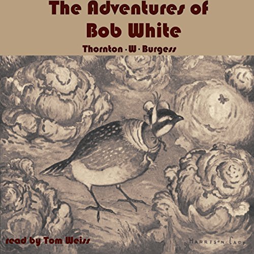The Adventures of Bob White