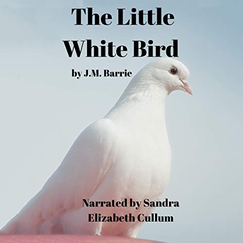 The Little White Bird